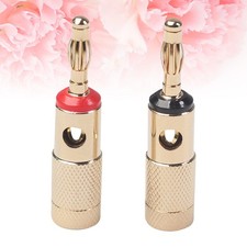 1 paio di connettori audio a