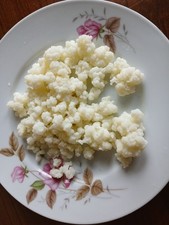 20g Grani di kefir Freschi