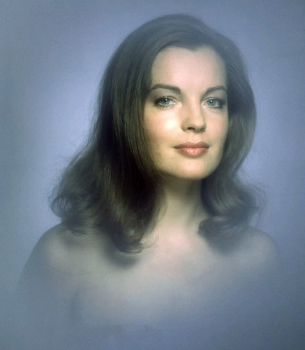 Romy schneider sexy 10x10 - schneider,