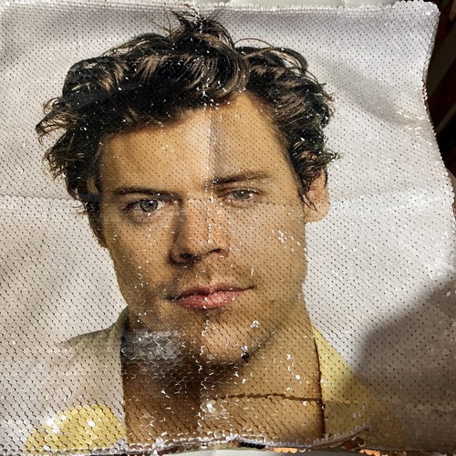 Harry styles copricuscino - styles,