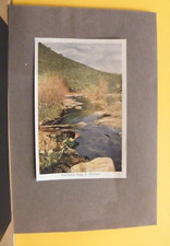 -DC43- STAMPA D' EPOCA, PAESAGGIO SARDO, AUTOCROMIA L. PELLERANO