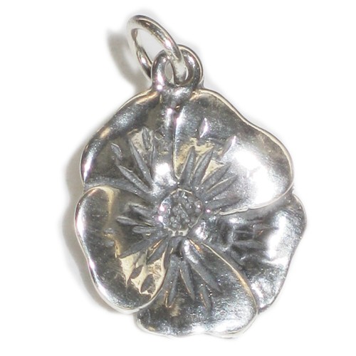 Ciondolo argento sterling - ciondolo,