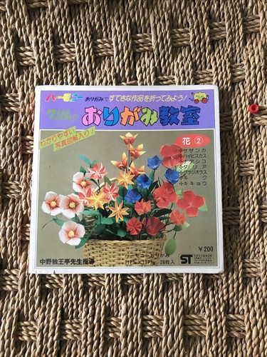 Libro origami per adulti - origami,