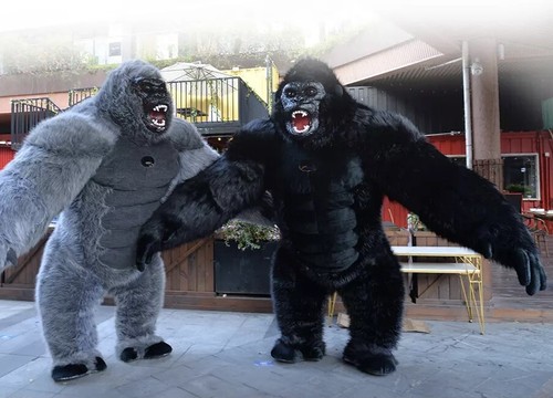 Mascotte gonfiabile - mascotte,