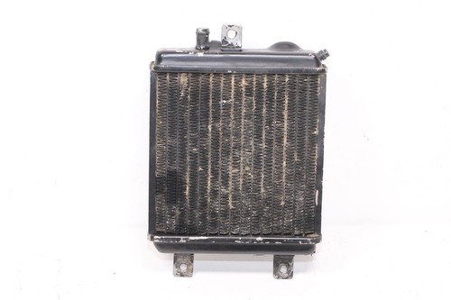 Radiateur eau beta zero 260 - ,