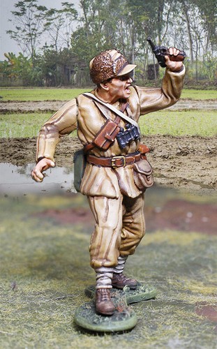 The collectors showcase - showcase,