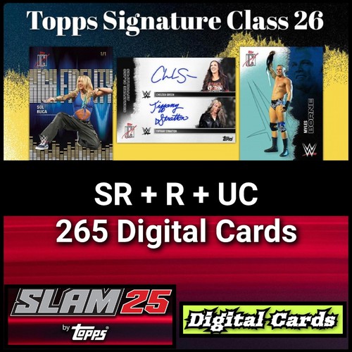 Set 265 carte - , wwe