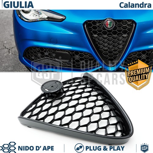Griglia anteriore per alfa - griglia,