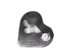 Cocker Spaniel Americano