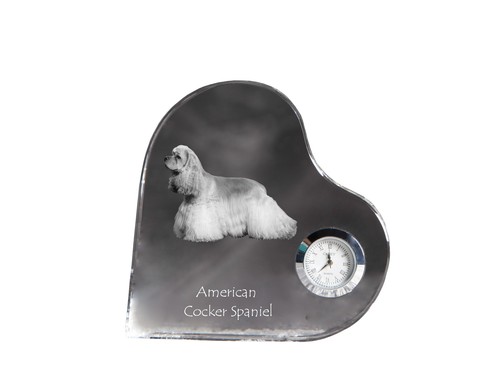 Cocker spaniel americano - cocker,