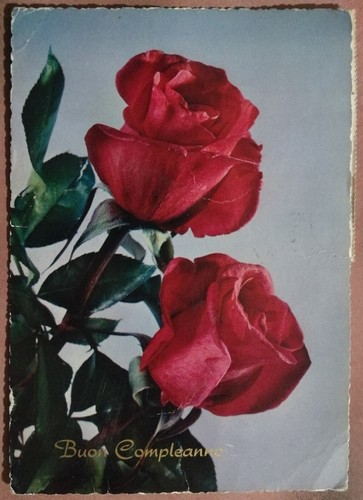 Buon compleanno cartolina - compleanno,