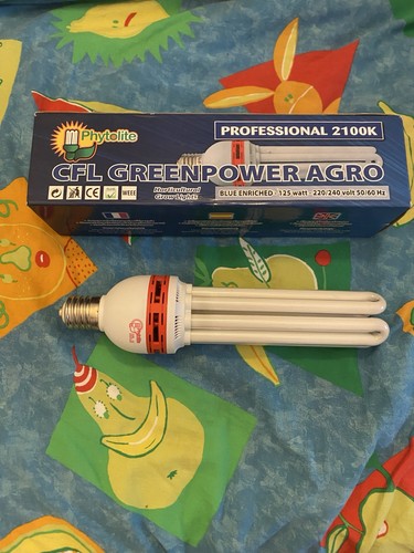 Lampada cfl basso consumo - lampada,