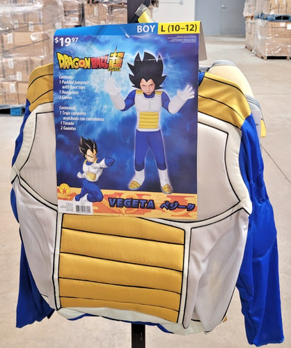 dragon ball costume