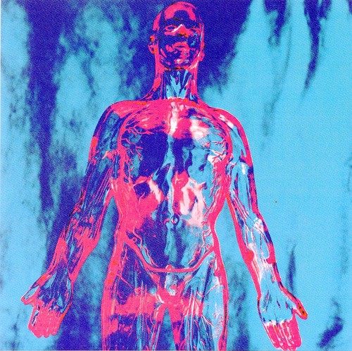 Nirvana sliver vinile - -,