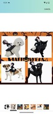 Fiestatime Ghost Rider Costume