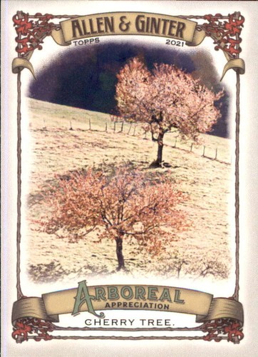 2021 allen ginter - allen, e