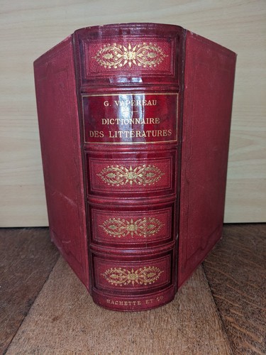 Libro antico dizionario - libro,