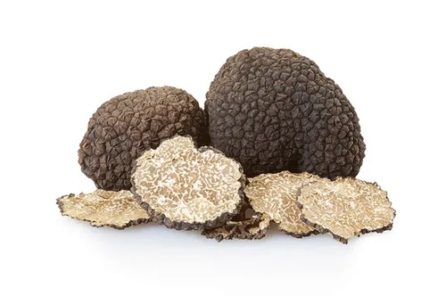 Tartufo nero fresco italia - tartufo, d'italia