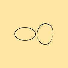 Kit Cinghie per Tandberg TCD