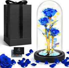 La Bella E La Bestia