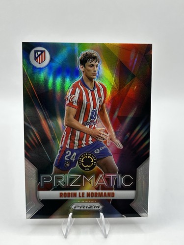 Robin normand 2025 panini - le,