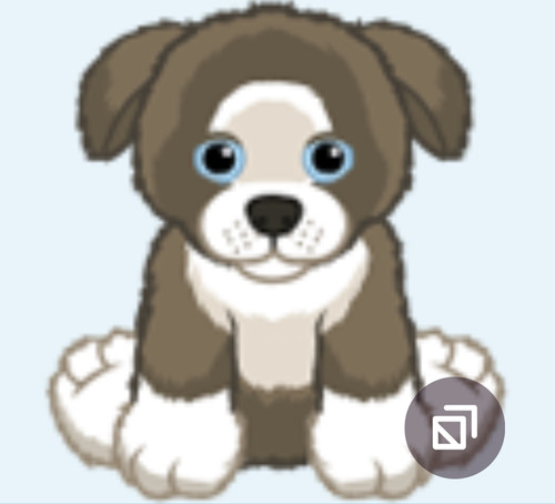 Webkinz dusty border collie - webkinz,