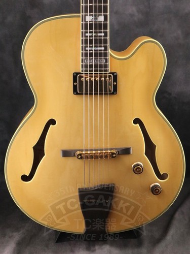 Ibanez pm200 chitarra - ibanez,