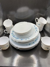 Arco Arcopal France Veronica