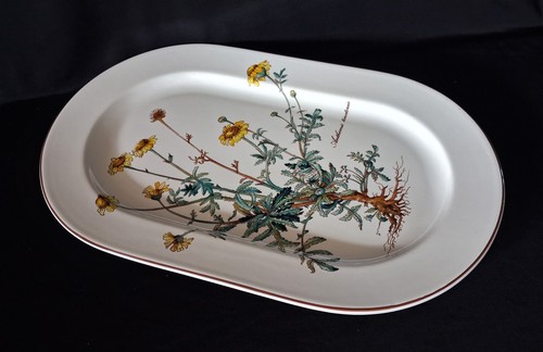Villeroy boch botanica - &,