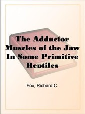 The Adductor Muscles Of The