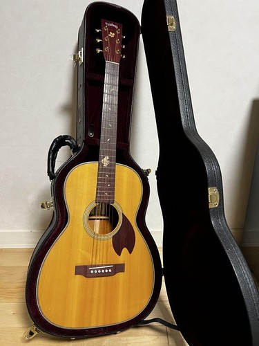 Chitarra acustica headway - chitarra, hn