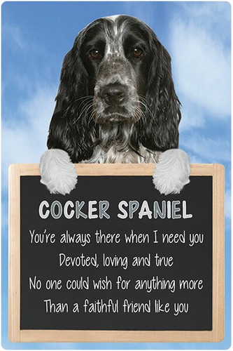 Blue roan english cocker - blue,