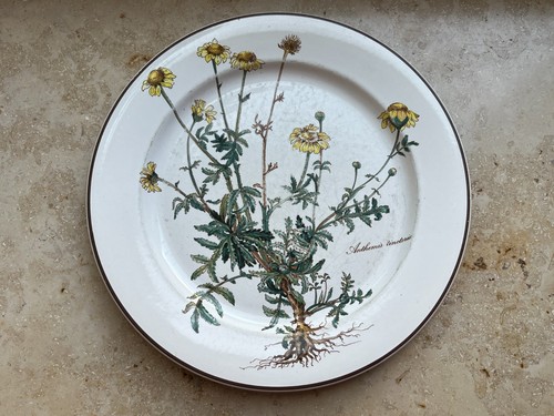Villeroy boch botanica - &,
