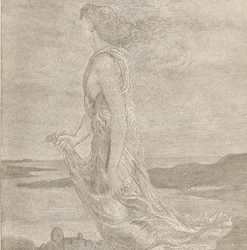 Stella della sera - la,