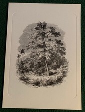 Vecchia Stampa PAESAGGIO