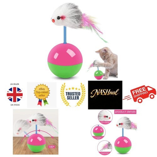 Teasing cat toy - cat,