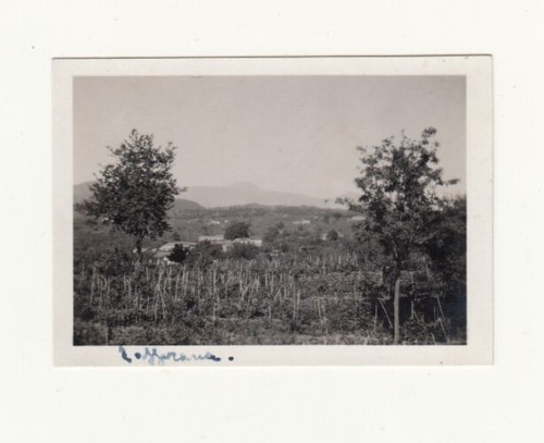 Foto paesaggistica zafferana - foto,