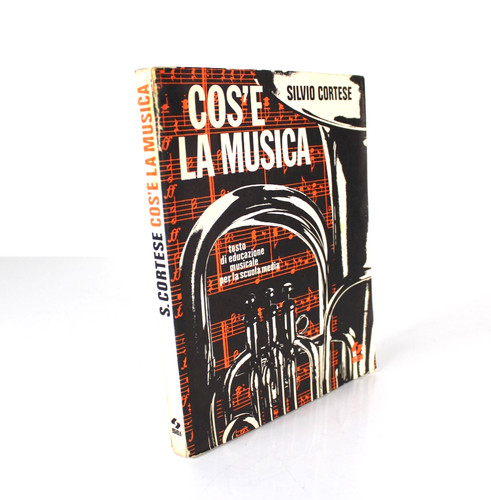 Cos musica silvio - cos'È,
