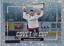 2024-25 Topps NHL Sticker