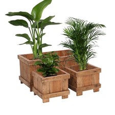 PIANTANA IN LEGNO "MALVA" | 3 pezzi, 80/35 cm | Set di vasi, aiuola per piante     