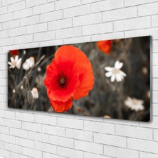 Print on Glass Wall art 125x50