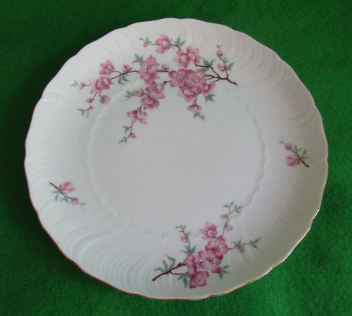Royal tettau venere fiori di - venere,,