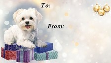 Etichette natalizie per cani