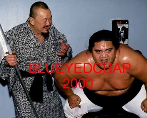 Fuji yokozuna wrestler 8 - fuji,