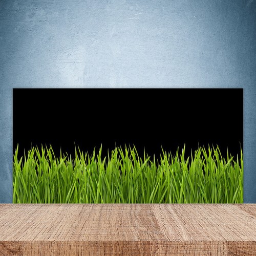 Paraschizzi cucina 100x50 - paraschizzi, da
