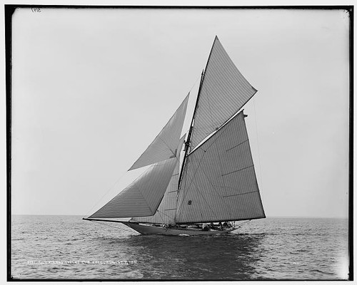 Foto gloriana goelet cup - goelet,