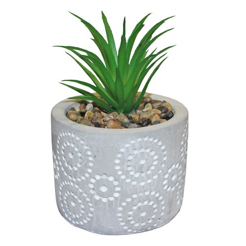 Vaso per piante grasse - vaso,