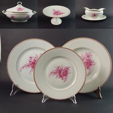 ANTICO SERVIZIO TAVOLA PIATTI PORCELLANA JOHANN HAVILAND BAVARIA DECORO SAVONA