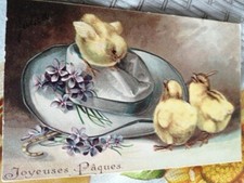 Pulcini augurale pasqua - augurale,