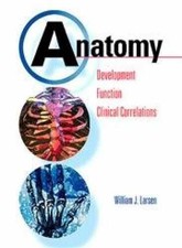 Anatomy: Development